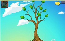 植物大战僵尸智慧树能长多高