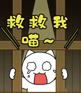 谁来救救我喵2攻略大全