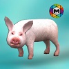 小猪模拟器