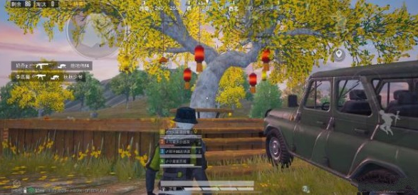 和平精英月兔模式赏花位置一览