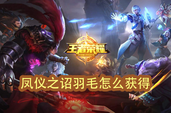 凤仪之诏羽毛怎么获得