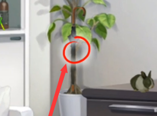 名侦探元芳杜教授的雨伞在哪