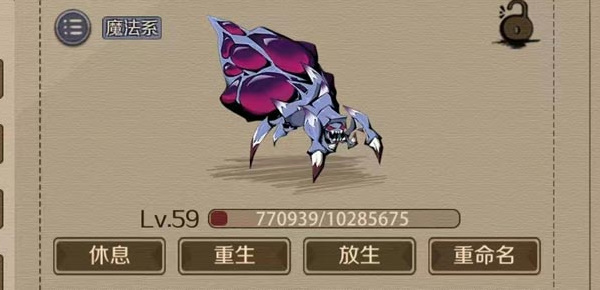 时间之钥宠物选择攻略