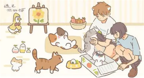 遇见你的猫兑换码2023